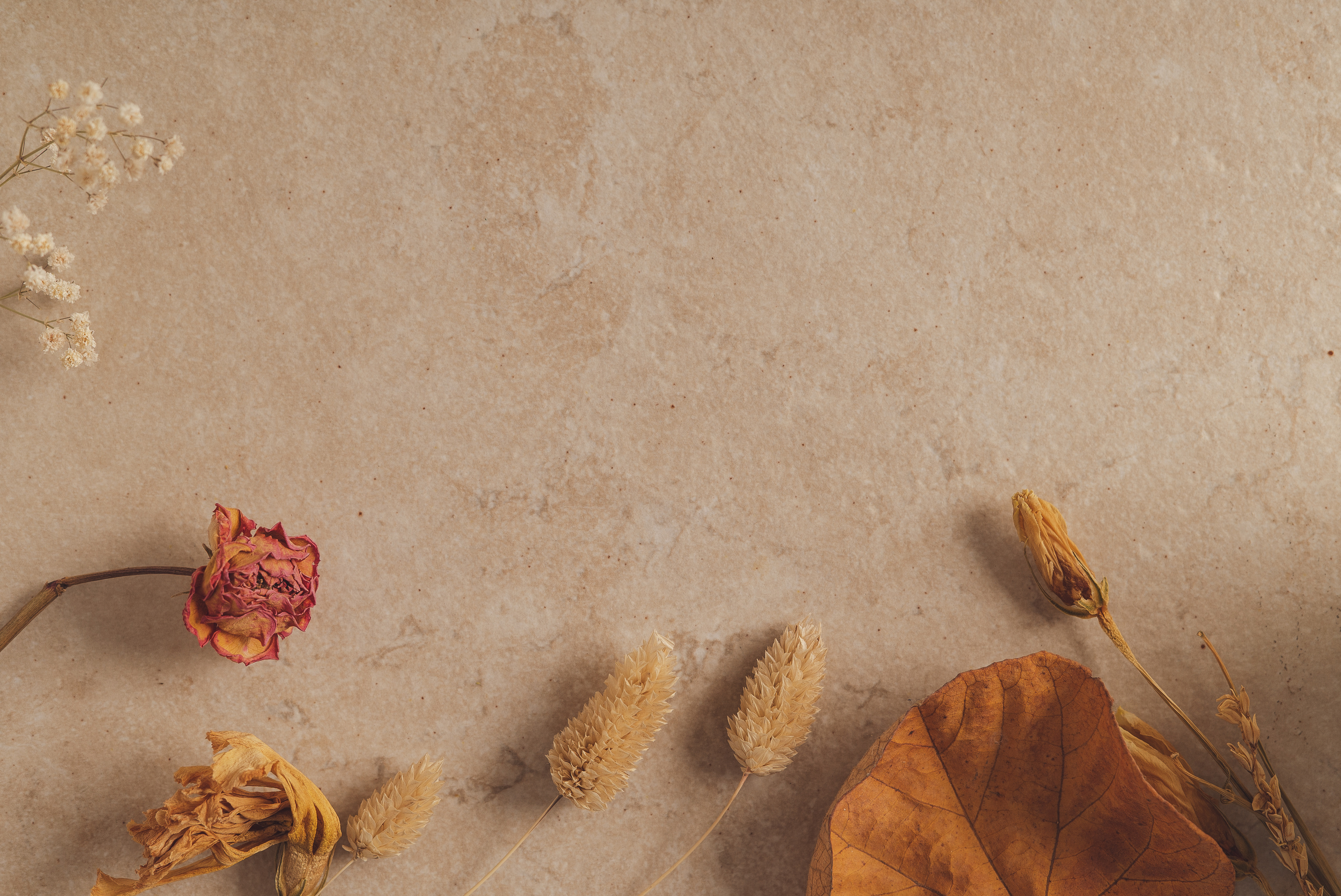 Autumn Botanicals Flatlay
