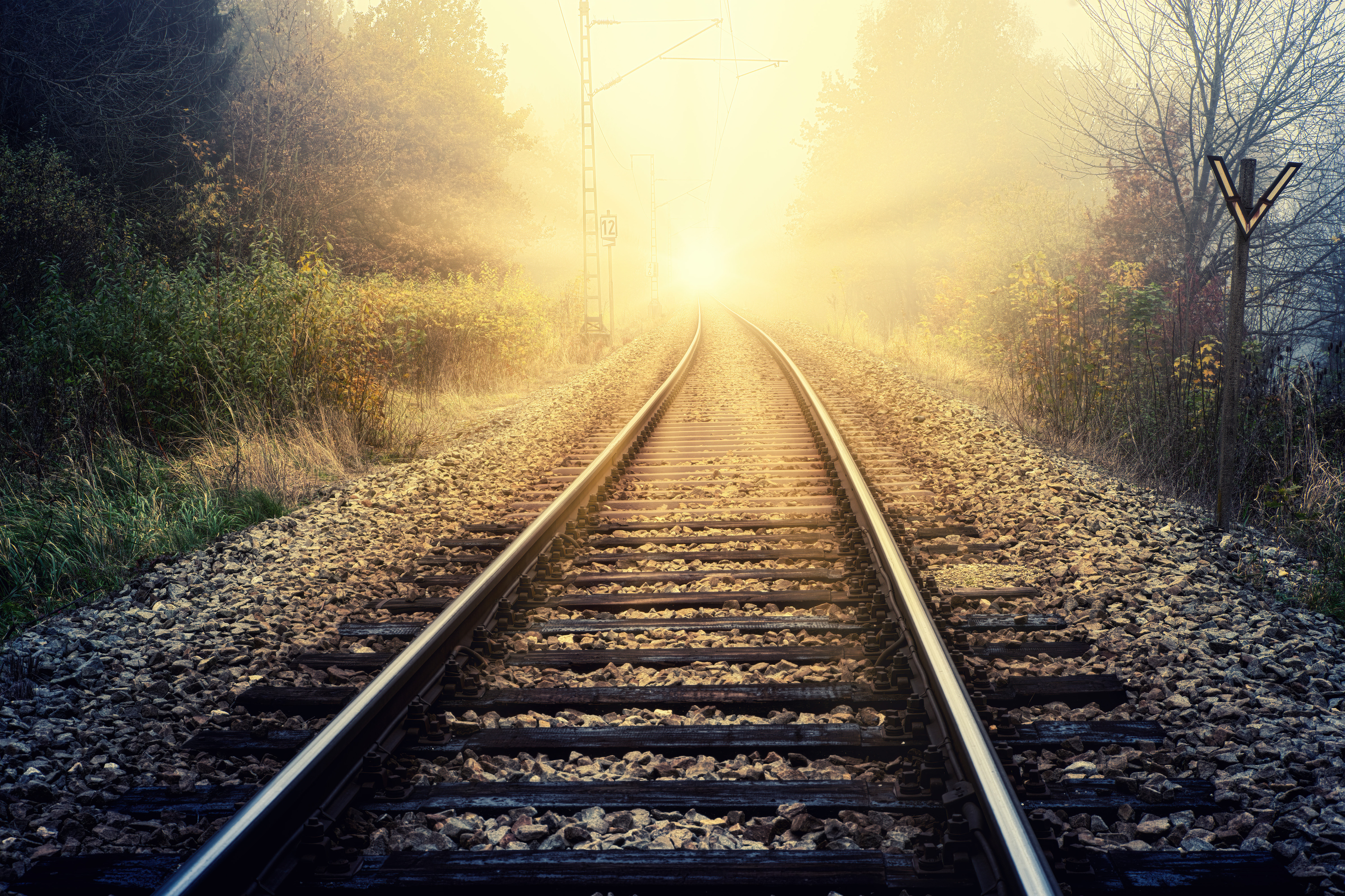 Railroad and bright sunshine in forest