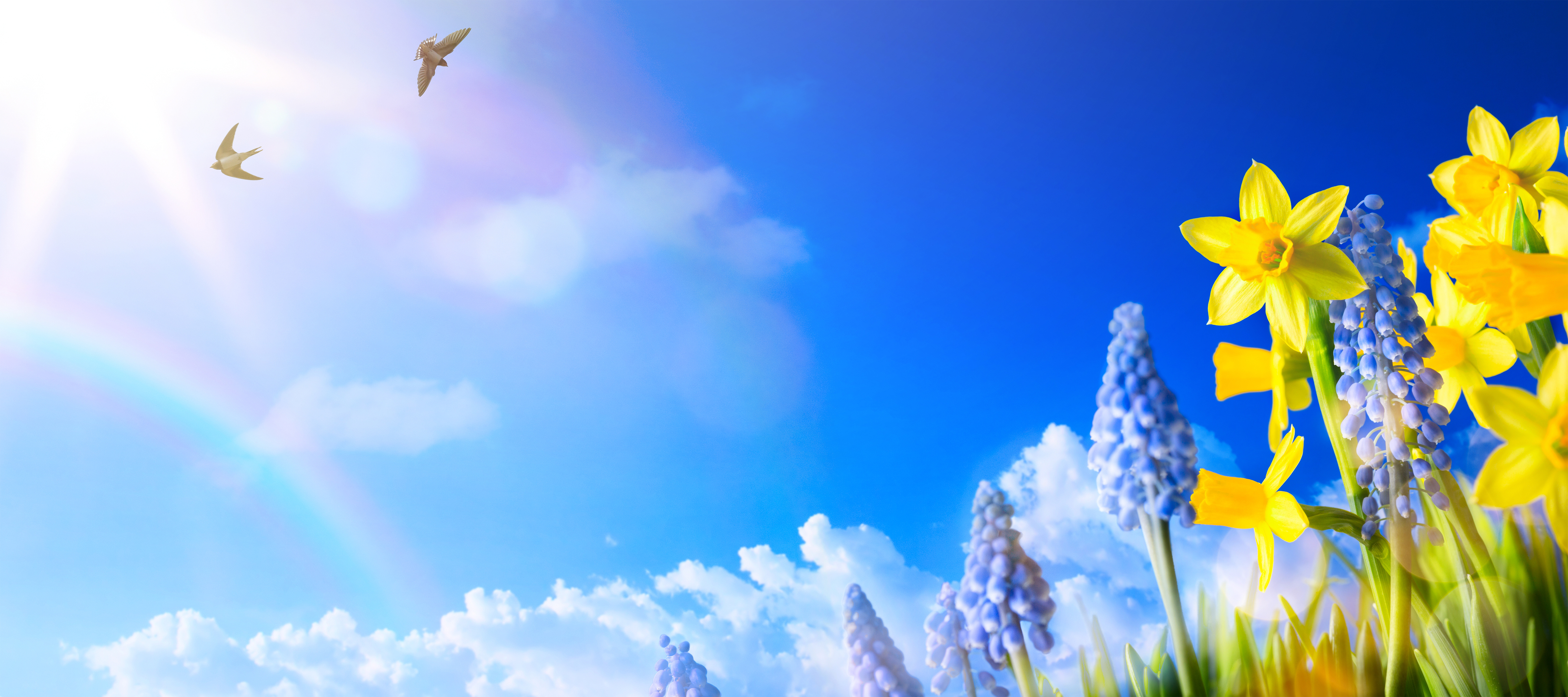 Happy Easter; Spring landscape background with fresh spring flowers