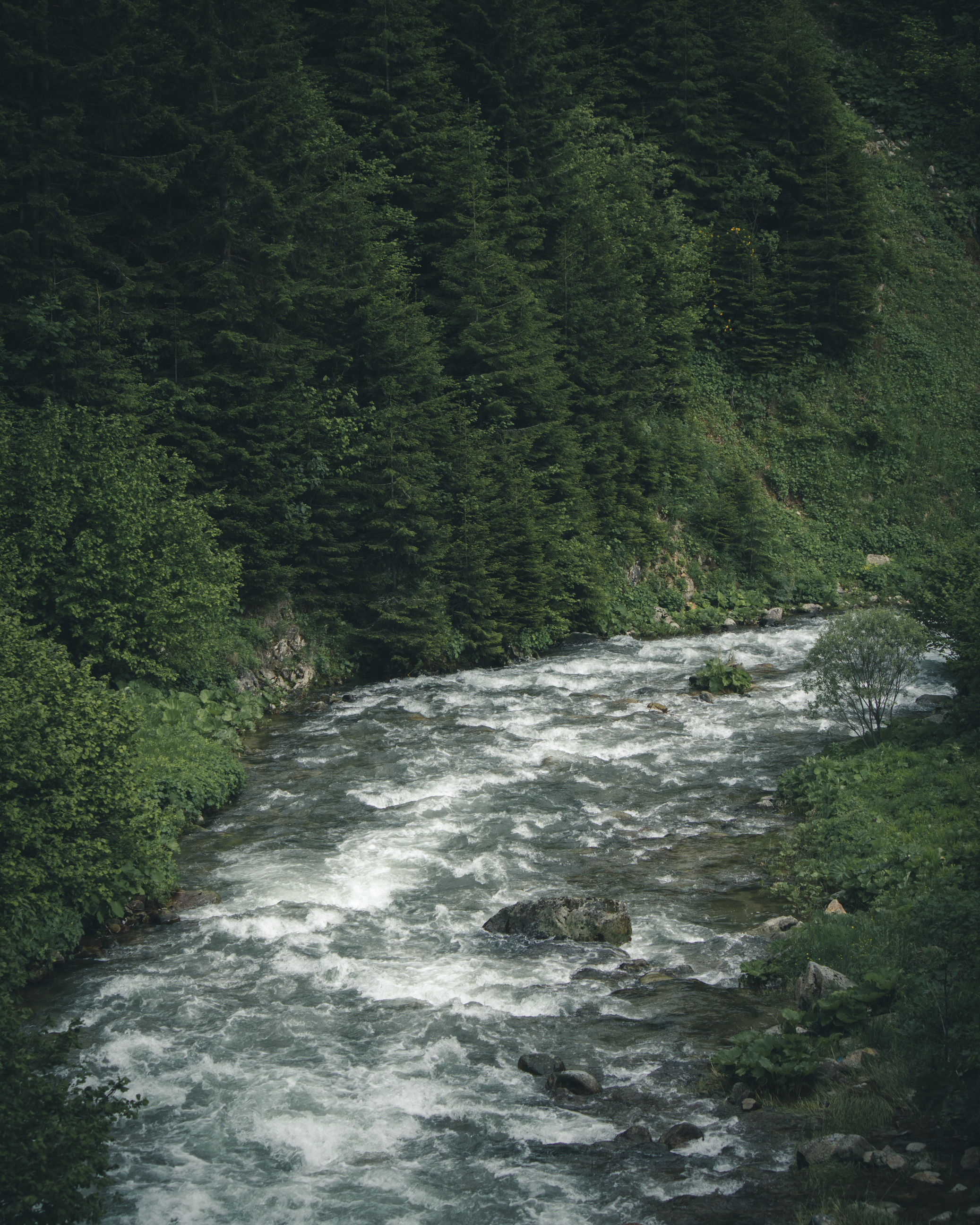 River Photography