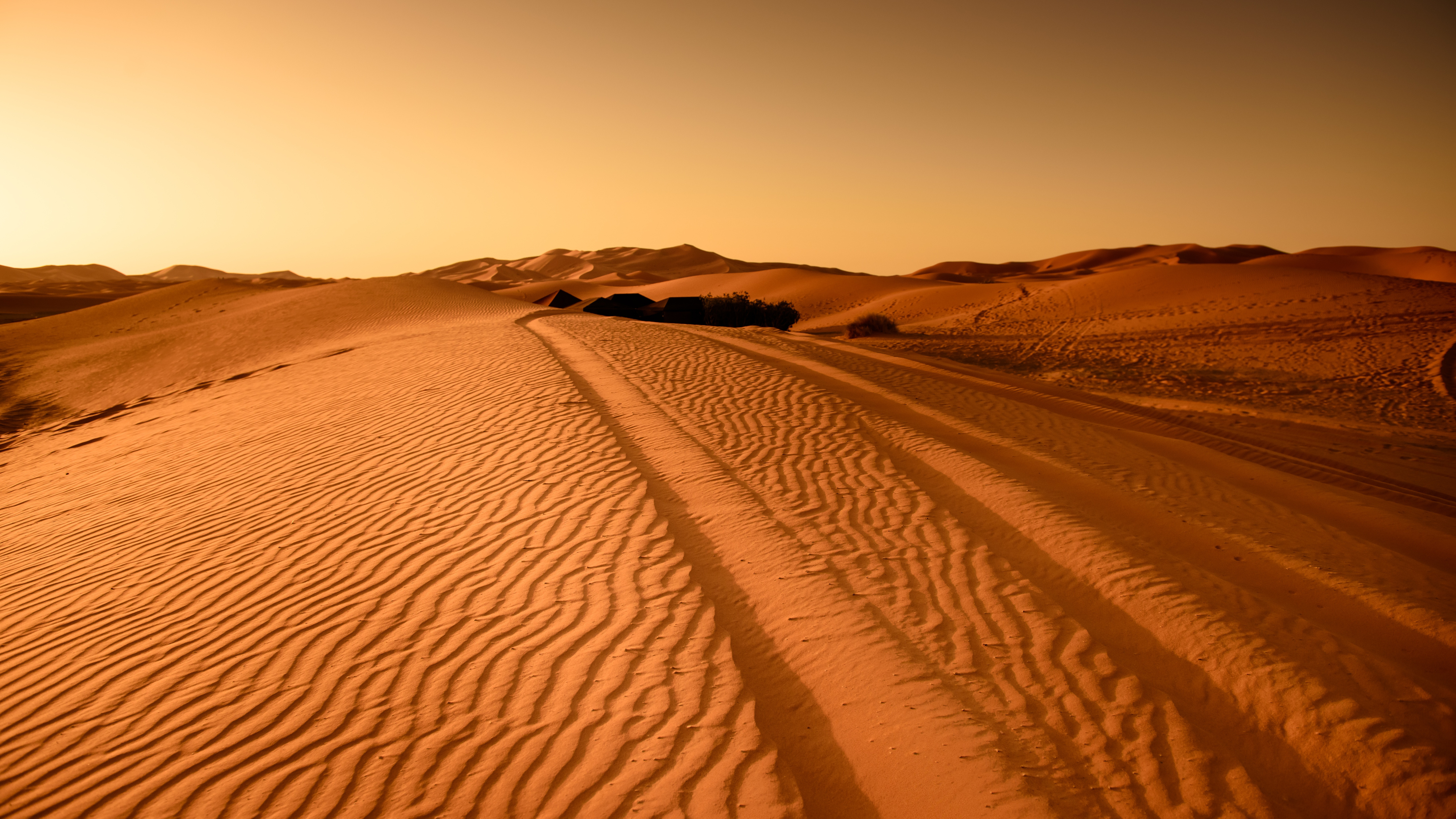 Brown Desert